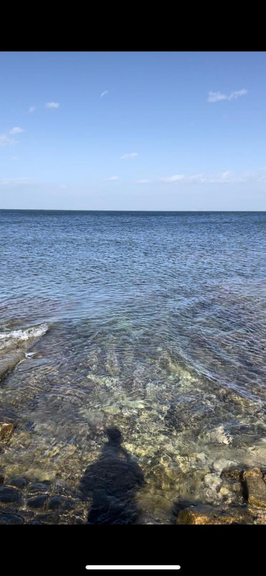 La Villetta Sul Mare Bari Eksteriør billede