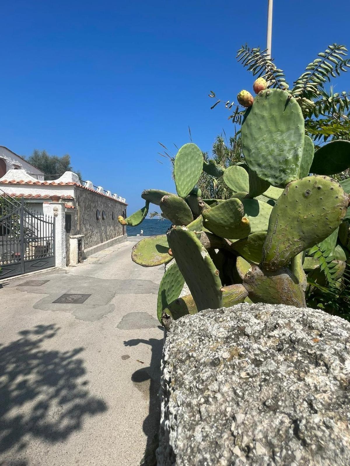 La Villetta Sul Mare Bari Eksteriør billede